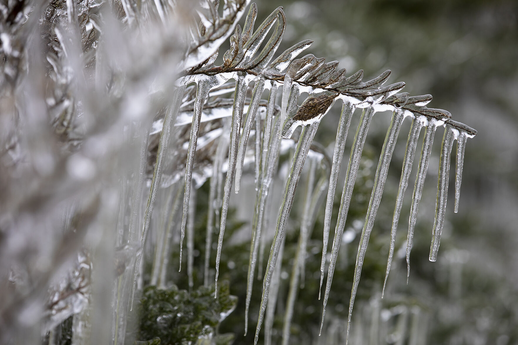 Winter weather